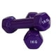 thumbnail image 1 of Pack De 2 Mancuernas De 1kg PVC Morado - PA-K1-E4, 1 of 2