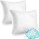 thumbnail image 1 of Paquete de 2 unidades de espuma viscoelástica Pillows Xtreme Comforts, ajustable, 1 of 9