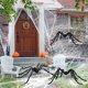 thumbnail image 5 of Decoración de arañas de Halloween JOYIN, paquete de 3, araña gigante de 1,6 m, 5 of 7