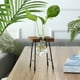 thumbnail image 3 of Add a touch of creativity to your living space with this 1pc Transparent Glass Hydroponic Vase. Perfect for your desktop, this vase is a creative and beautiful addition to your living room, study or o, 3 of 4