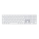 thumbnail image 1 of Apple Magic Keyboard Numérico Español MXCJ3E/A, 1 of 3
