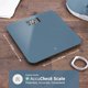 thumbnail image 2 of Báscula de baño Greater Goods Digital AccuCheck 180 kg Stone Blue, 2 of 8