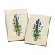 thumbnail image 3 of Juego de tarjetas de notas Earth Sky + Water 8 unidades Lavanda, 3 of 3
