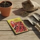 thumbnail image 3 of Semillas Las Encinas Tomate Cherry Rojo para Huerto, 3 of 5