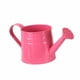 thumbnail image 4 of Mini Regadera, Maceta, Contenedor De Flores Para Manualidades, Recuerdos De Fiesta, Rosa Roja Resistente, 4 of 5