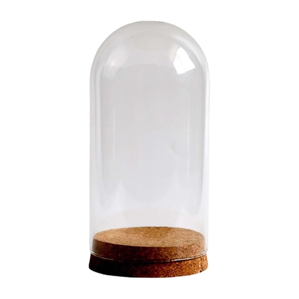 Cubierta de cristal de flores preservadas, vitrina de cristal con cúpula, elegante cubierta de cúpula de cristal para dormitorio, decoración navideña 9cmx20cm