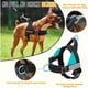 thumbnail image 2 of Arnés para Perro SlowTon Antitirones con Correa, 2 of 3