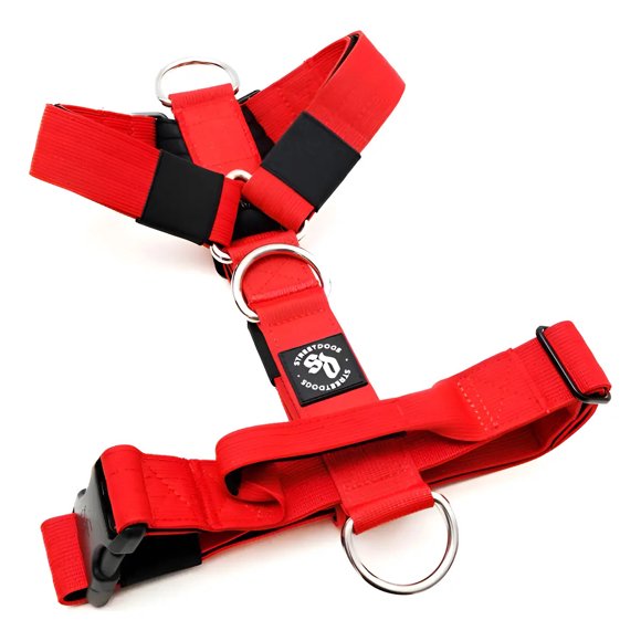 Street Dogs Strap Rojo