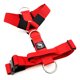 thumbnail image 1 of Street Dogs Strap Rojo, 1 of 3