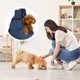 thumbnail image 4 of Uxcell Transportador de Perro en Bandolera para Perros y Gatos Pequeños de Hasta 16.5 Libras, Lona Suave con Bolsillo con Cremallera, Bolso de Hombro Cruzado para Mascotas, (Azul, 1 Unidad), 4 of 6