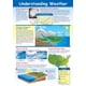 thumbnail image 1 of Póster NewPath All About Weather laminado, 23 x 35 cm, 1 of 4