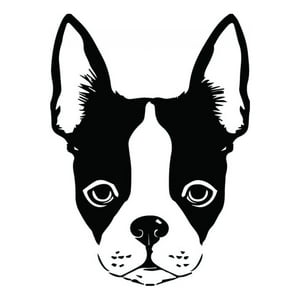 Rienda Libre Graphics - Decomural Boston Terrier Dog Pet Animals Ws-34672