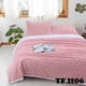 thumbnail image 1 of Frazada con Chiporro 1.5 Plazas + 1 Funda de Almohada - Rosado TFH06_., 1 of 1