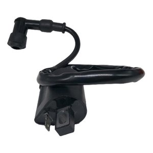 Distrithunder - Bobina De Alta Cg 125