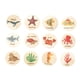 thumbnail image 3 of 12x Rompecabezas De Madera Juguete Preescolar Montessori Para Niños De 2 A 4 Años Regalos De Cumpleaños Mar, 3 of 5