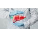 thumbnail image 2 of Hepatosil Plus Raza Grande Perro Gato X 30 Comprimidos, 2 of 7