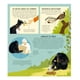 thumbnail image 3 of La Sorprendente Vida De Los Animales, 3 of 5