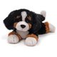 thumbnail image 1 of Peluche de peluche GUND Randle Bernese Mountain Dog 33 cm, 1 of 3