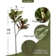 thumbnail image 3 of Ramas Artificiales Magnolia 28 Cm Hojas Realistas, 3 of 3