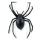 thumbnail image 4 of Figura Safari Ltd. Black Widow Spider, 16 cm, para niños mayores de 3 años, 4 of 6