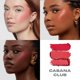 thumbnail image 2 of Cabana Club Face Trio Morphe Cheek Thrills, 10,8 g, multiacabado, 2 of 4