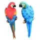 thumbnail image 3 of 2 Figuras De Loro Para Decorar El árbol De La Pared, De Resina, Para Césped, Jardín, Rojo Y Azul., 3 of 5
