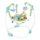thumbnail image 1 of Saltarina Brincolin Centro De Entretenimiento Musical Didactico Bebe Verde, 1 of 8