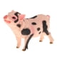 thumbnail image 5 of Simulación De Varios Animales Modelo Estatuilla Juguete Educativo Decoración Del Hogar Flor Cerdo, 5 of 5