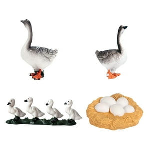 Genérico - Modelo De Ciclo De Vida De Ganso, Regalos De Cumpleaños, Ciencia Para Niños Y Niñas, Juguetes Montessori, Ganso Gris
