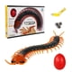 thumbnail image 1 of Ciempiés de juguete RC Tsiodot con cuerpo flexible y control remoto de 10 m, 1 of 8