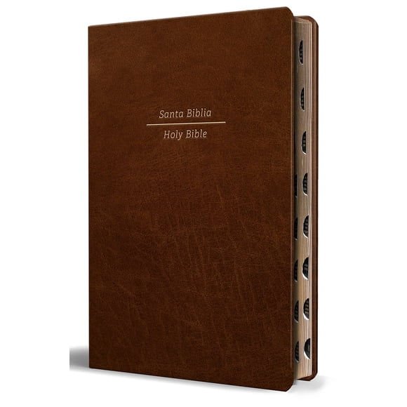 Biblia Origen Kids RVR 1960/ESV de Letra Grande (Tapa Marrón)
