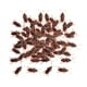 thumbnail image 5 of 100x Cucarachas Falsas Juguetes Cucarachas Realistas Para Halloween Holiday Home S, 5 of 5