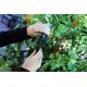thumbnail image 5 of Soporte para plantas trepadoras Emsco City Picker Trellis Tower, 5 of 6