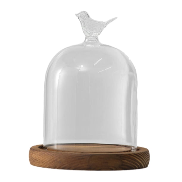 Tarro de campana de cúpula de vidrio transparente con bandeja de madera, vitrina de mesa redonda versátil, diámetro de 9cm para decoración del Día de Estilo D