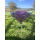 thumbnail image 3 of Globo Feliz Cumpleaños Celestial 20 cm Rosa, Pack de 2, 3 of 5