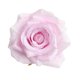 thumbnail image 2 of 10 Unids Seda Artificial Rosa Flor Cabezas Boda Fiesta Decoración Pink Pink, 2 of 5