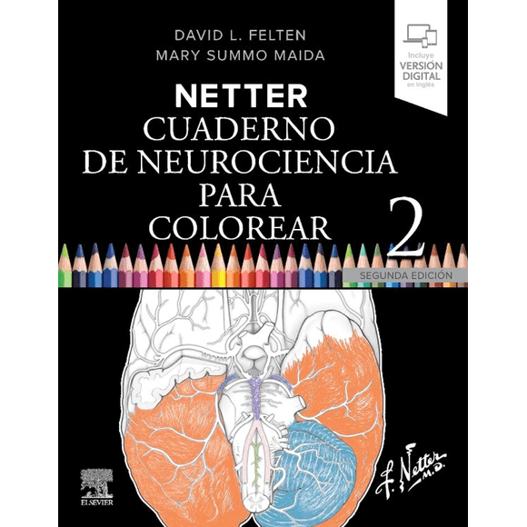 Netter. Cuaderno de neurociencia para colorear 2ed.