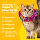 thumbnail image 3 of Cubierta para Collar de Gato Birdsbesafe – Aviso de Seguridad para Aves, 3 of 9