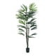 thumbnail image 1 of Planta Decorativa Palmera Raphis 150cm, 1 of 3