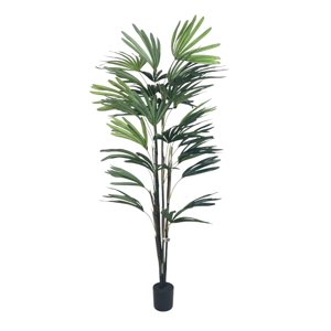 Corel - Planta Decorativa Palmera Raphis 150Cm