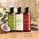 thumbnail image 3 of Set de aceites de masaje Majestic Pure Refreshing Relaxing 100 ml x3, 3 of 9