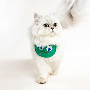 Correa Babero Para Mascotas 4 Diseños Originales - Pidan®