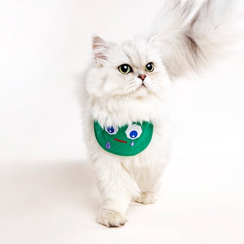 Correa Babero Para Mascotas 4 Diseños Originales - Pidan®