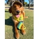 thumbnail image 4 of Peluche Divertido Con Forma De Palo De Golf Para Perros Con Chirriador Y Arrugas, 4 of 9