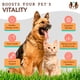 thumbnail image 4 of Suplemento de aceite de salmón Natural Dog Company para perros 946 ml, 4 of 8