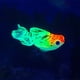 thumbnail image 2 of Aquarium Artificial Glowing Fish Realistic Moving Floating Colorful Goldfish, 2 of 3
