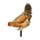 thumbnail image 3 of Estatuilla Acrílica De Decoración De Estacas De Jardín Con Forma De Gallina Para Jardín, Porche, Camino, Estilo B, 3 of 5