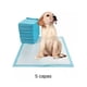 thumbnail image 1 of 50 Pañales Tipo Sabanillas Mascotas Perros 45x60 Cms, 1 of 1