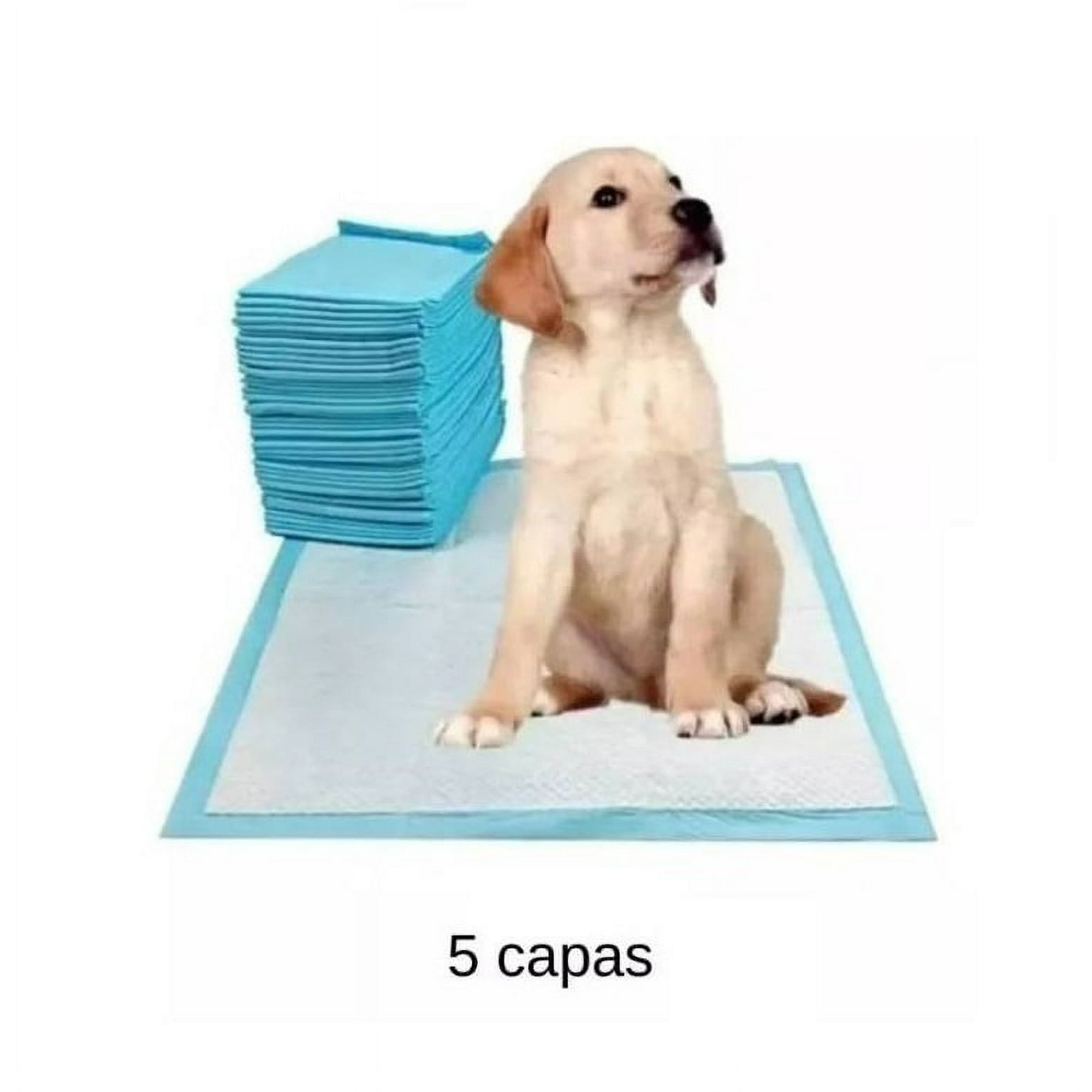 Genérico - 50 Pañales Tipo Sabanillas Mascotas Perros 45x60 Cms