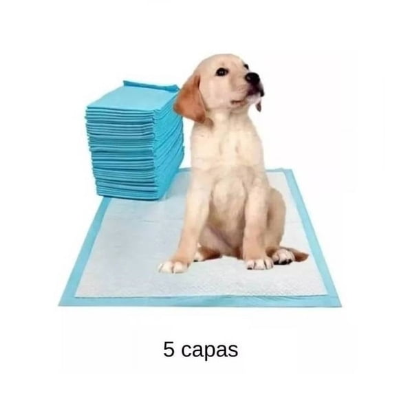 50 Pañales Tipo Sabanillas Mascotas Perros 45x60 Cms